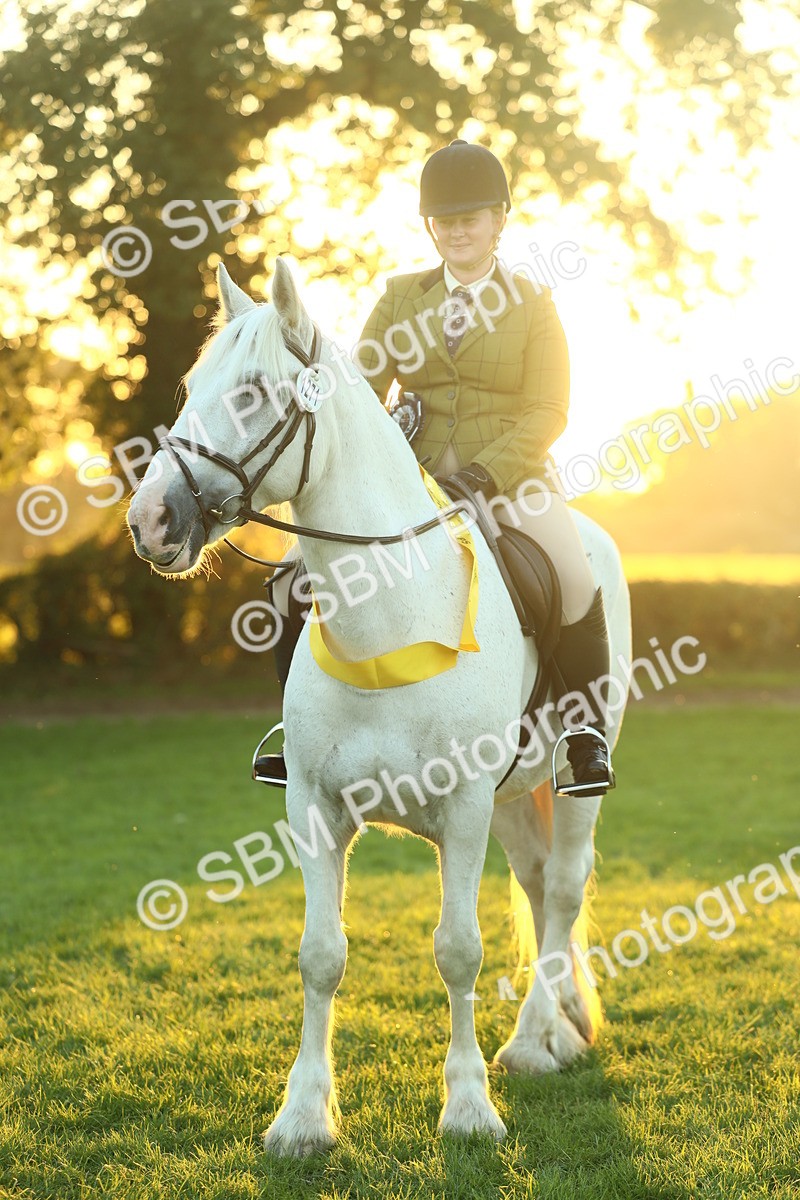 SBM_56733 - Fun & Versatile Supreme Championship