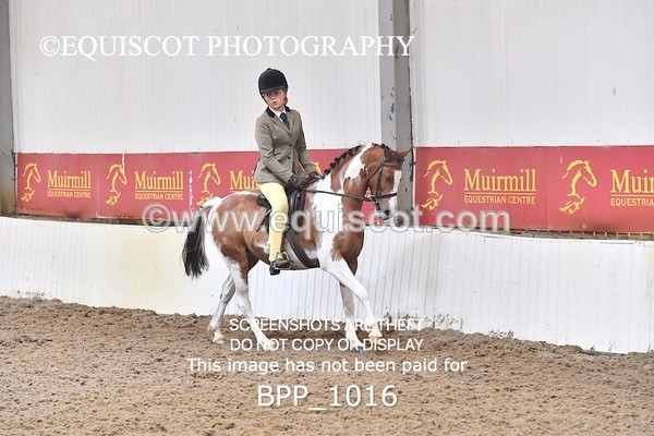 BPP_1016 - RING 2