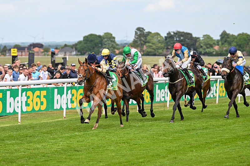 240525-Race 3-Old Is Gold-0885 - Race 3