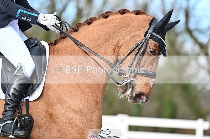 240218A-144642-08207 - 219-Jessica.Davies-Kadanz.II