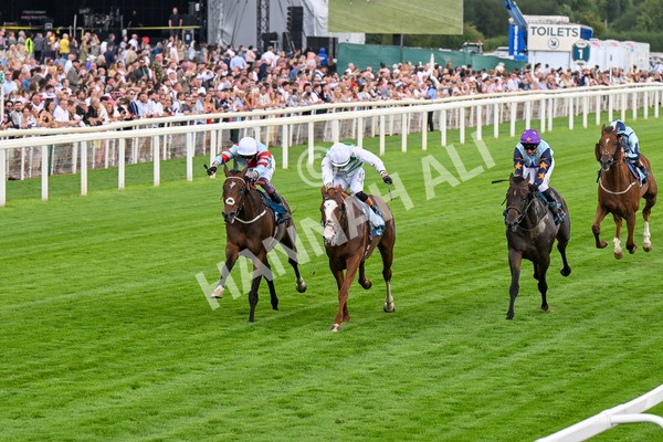 260725-Race 5-Beylerbeyi-0704 - Race 5 3.50pm Sky Bet, For The Fans Handicap
