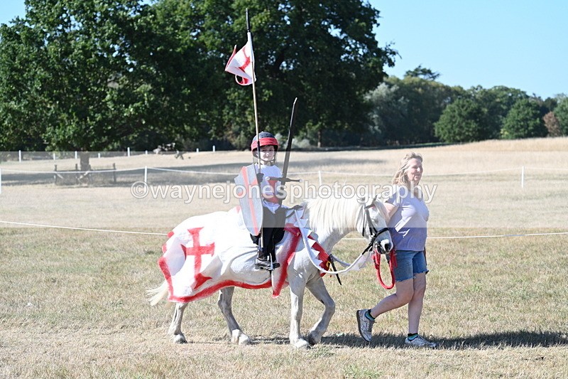 WJ7_2444 - Class 45 Fancy Dress (My Fav)