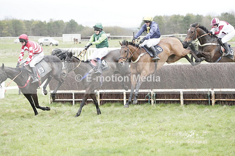 PtP 260323 0494 - New Forest Hounds Point-to-Point Larkhill 26/03/23