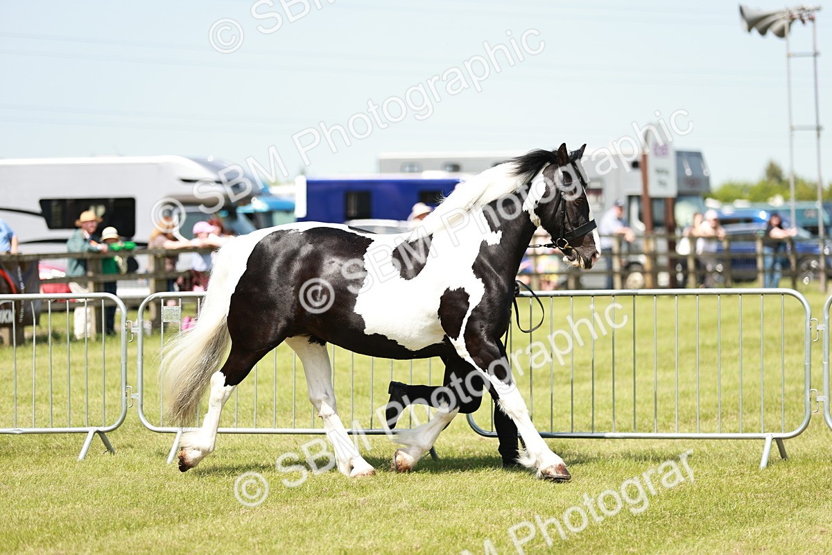 SBM_04154 - Class 39-40 - BSPA Coloured In Hand