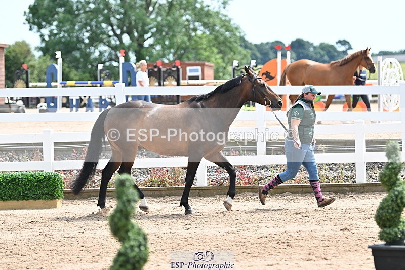 240717A-144216-02212 - Trot Up 2pm to 3pm - This folder is not in time order