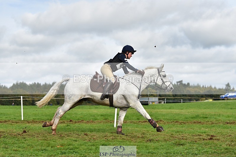 231021-133956-18460 - 457-KILLOUGHTER.GOLD.DUST-Olivia.McDonald-SC+XC