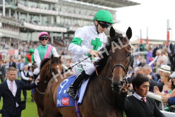 yr20082022r4-163 - Race 4 3.35pm Sky Bet Ebor