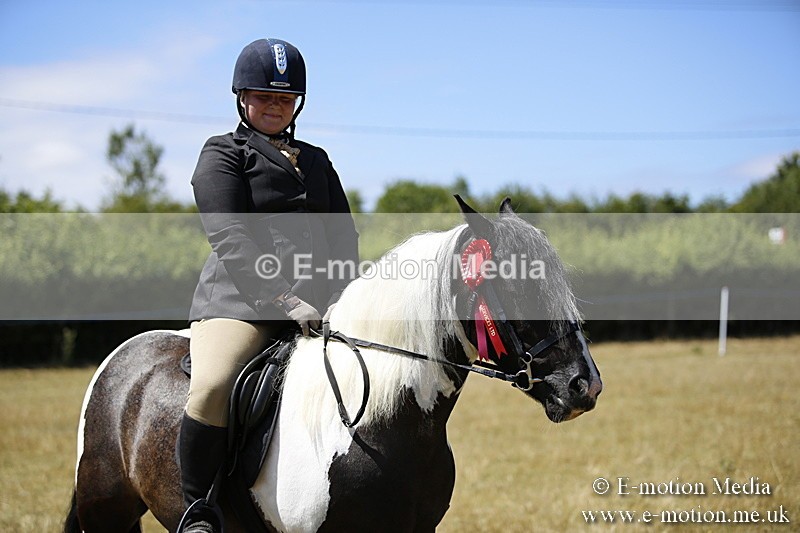 _C7A0003 - BVRC Show 2018 Ring 1