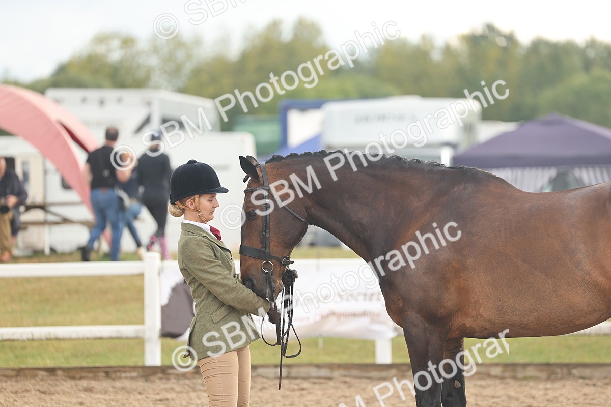 SBM_07895 - Class 28 - IH Veteran Horse