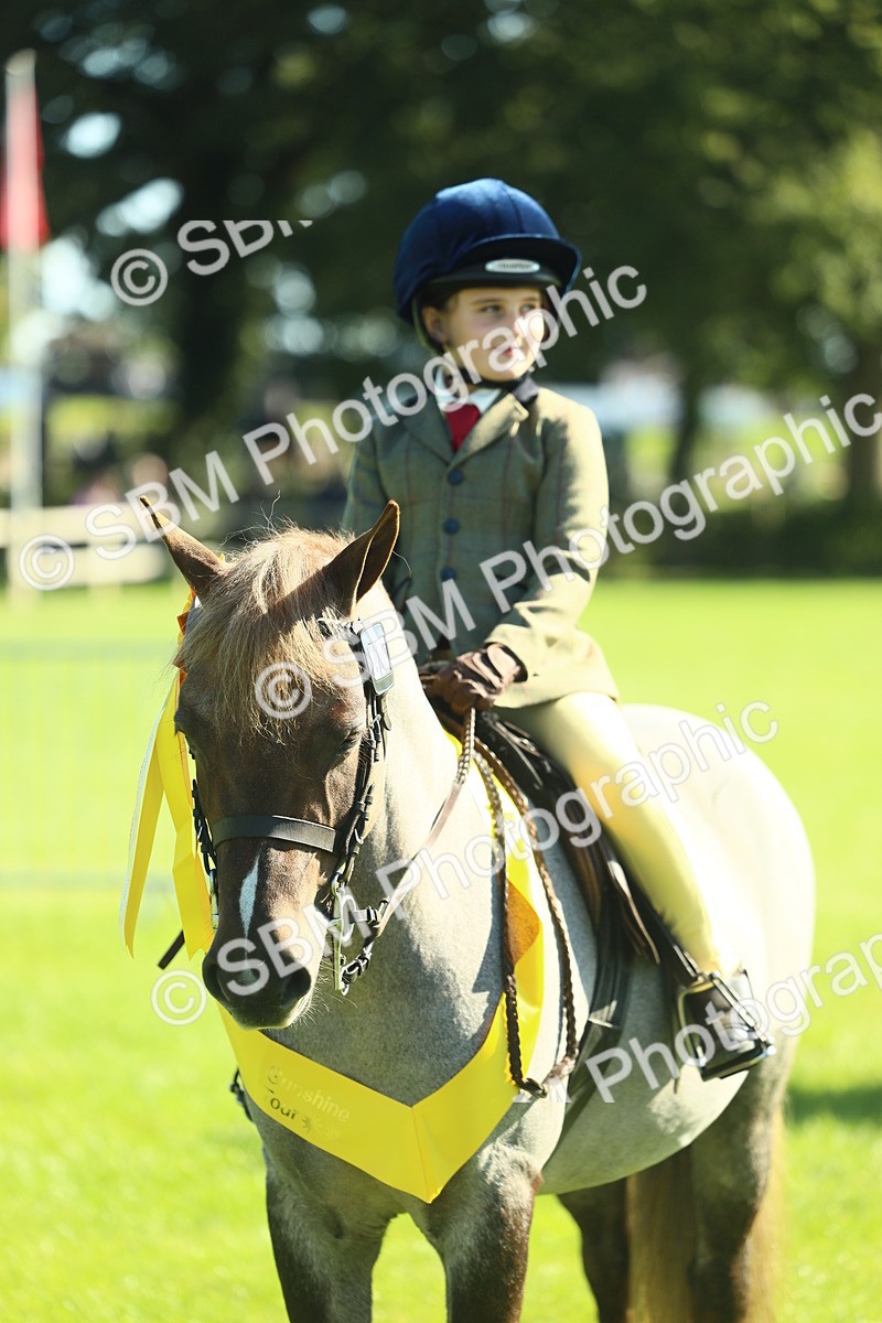 SBM_39070 - S29 - Novice & Newcomers Working Hunter Pony