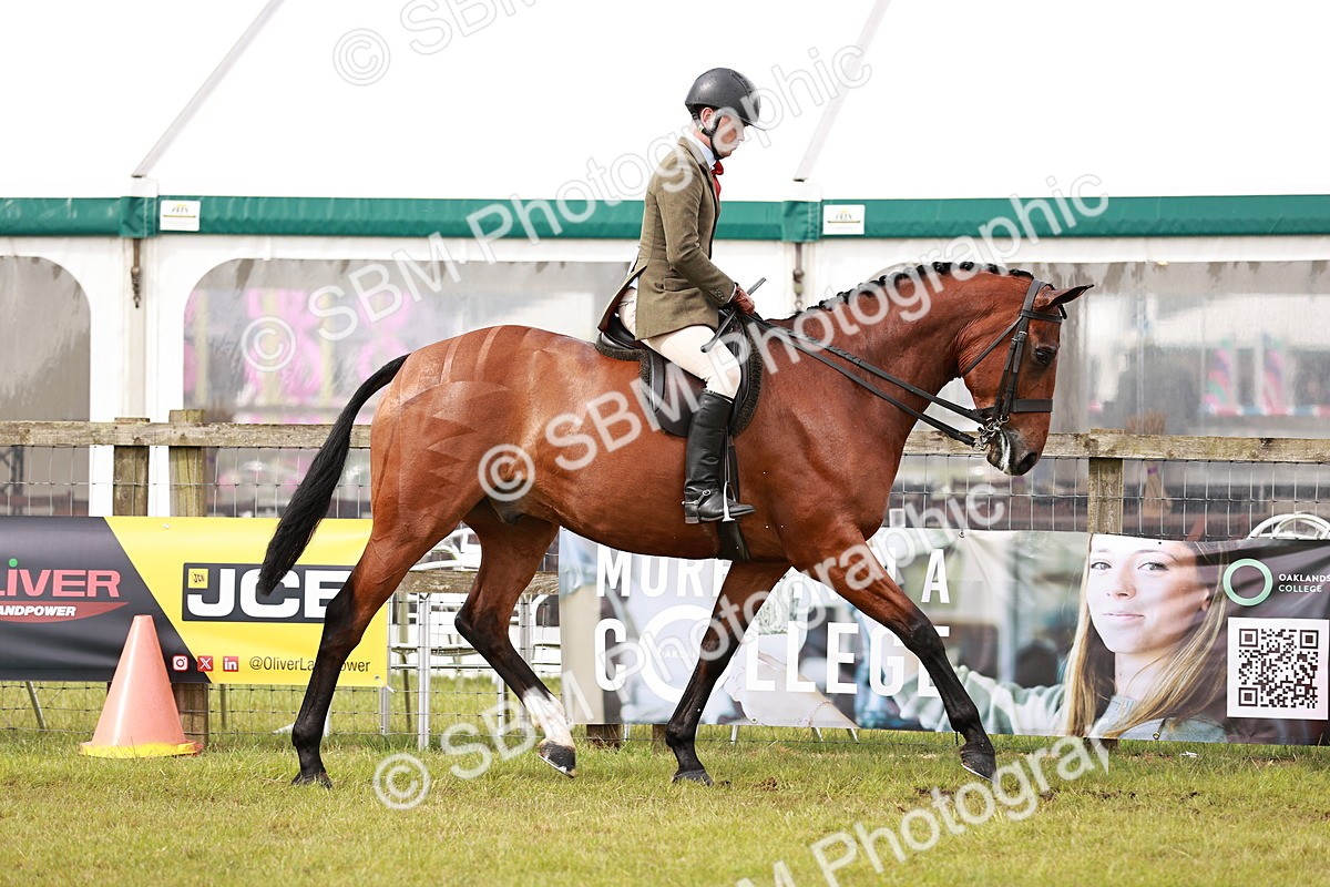 SBM_11531 - Class 81-84 - RIHS Ridden hunters Inc Ladies Hunter