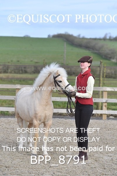 BPP_8791 - RING 2 - M&M