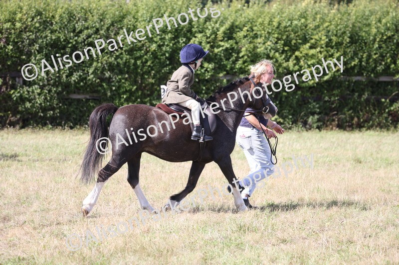 20260906-2817 - Class 25 - Absolute Beginners Pony