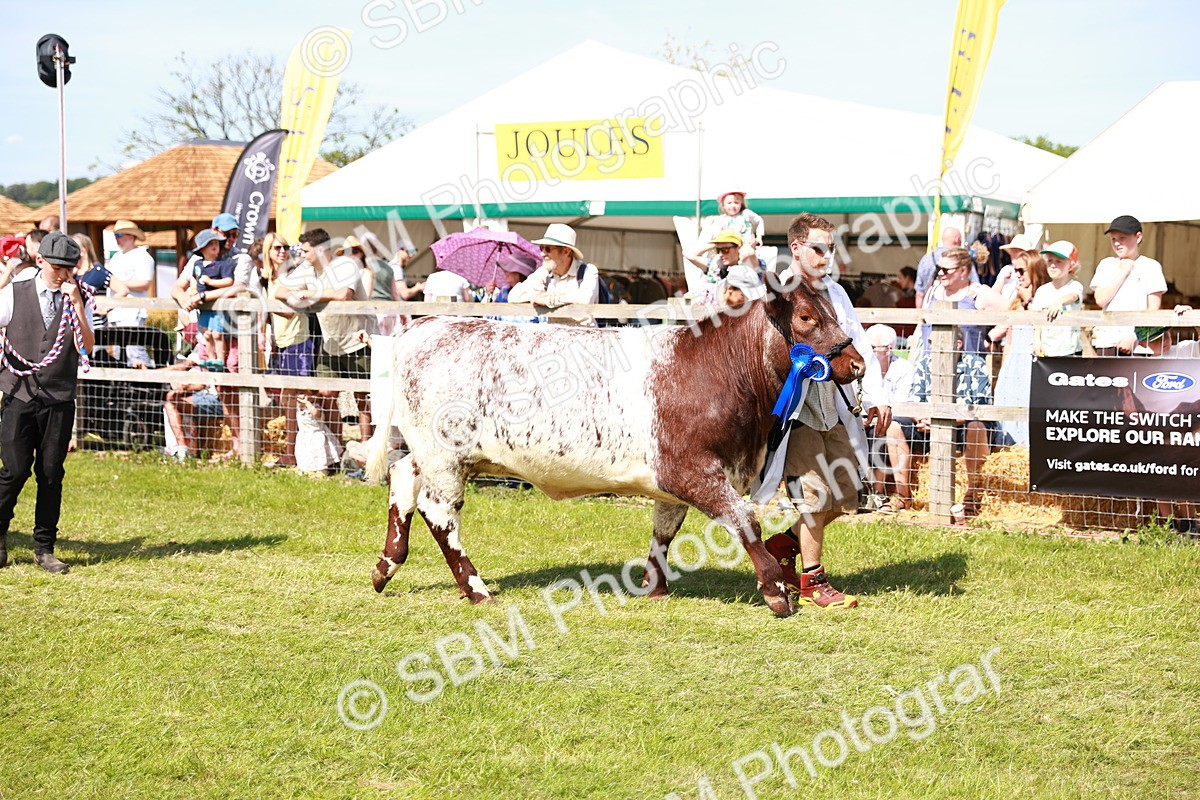 SBM_08329 - Grand Parade