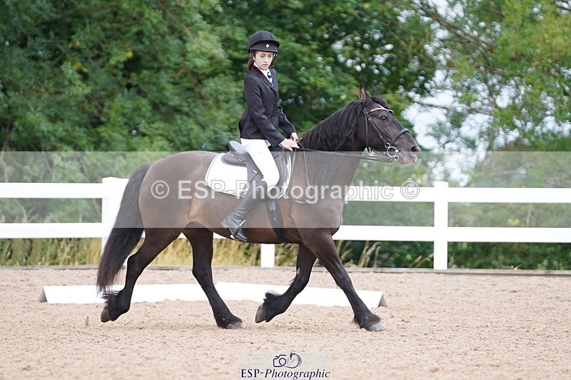 240809A-095108-00337 - Dressage Competition