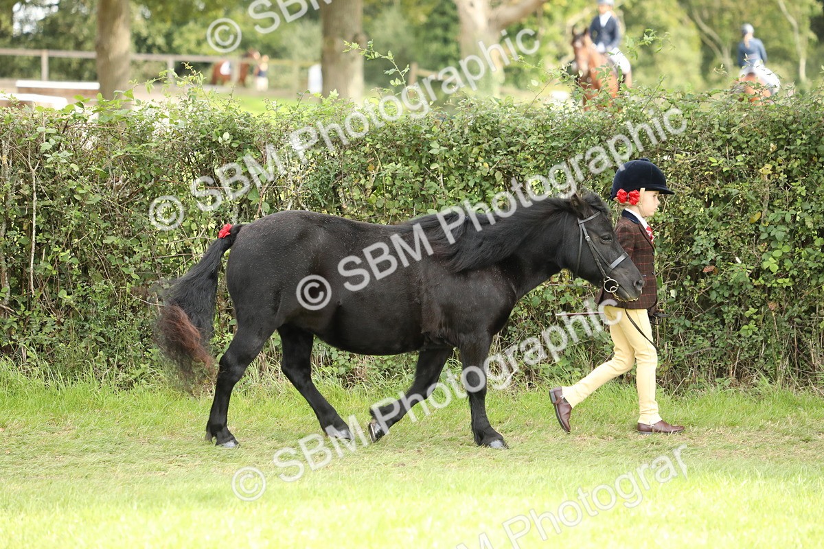 SBM_67677 - S39 - Junior Handler 8  Years & Under