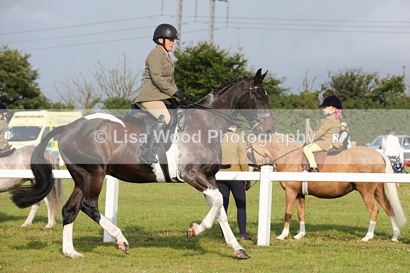 1X9A2846 - Class 25: Ridden Plaited Coloured Horse