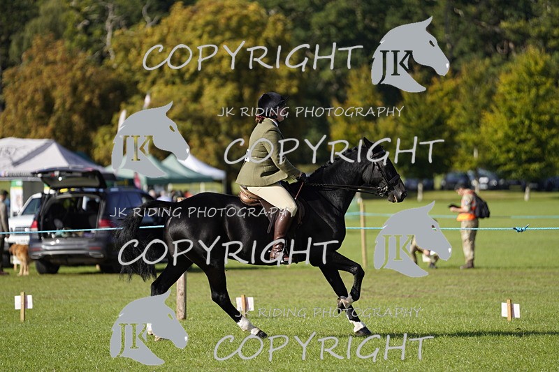 _DSC9601 - Class 8 & 17 Ridden Hunter & Ridden Hunter Pony