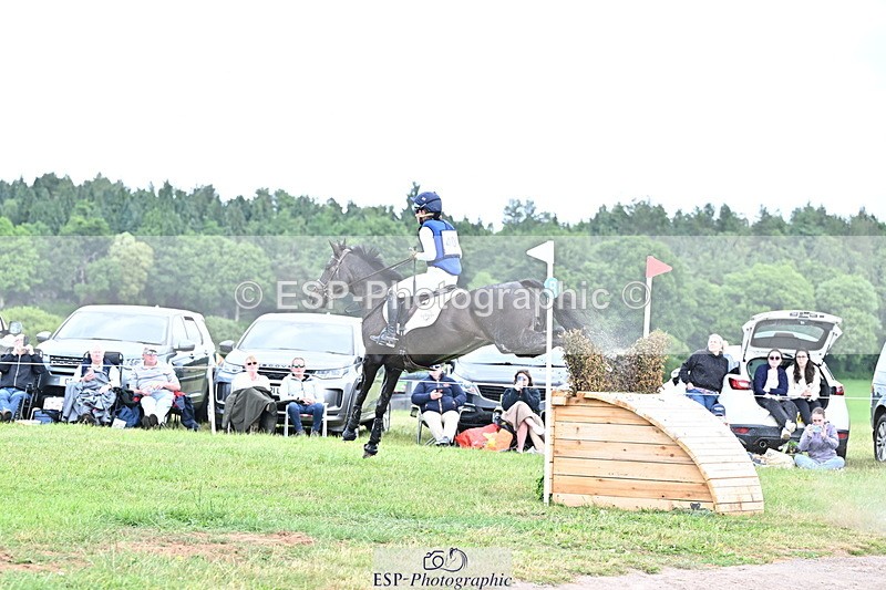 250525A-121811-15986 - D-409-Kirsty.Chabert-HERALDIKS.GIRL.OPPOSITION