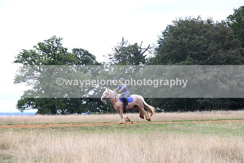 DSC_9496 - Time at Statue 15:11 to 15:58