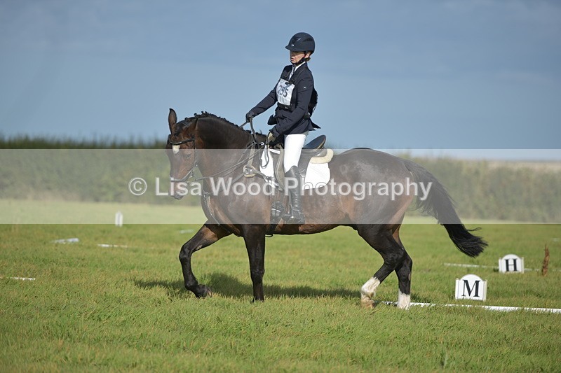 RAY_7483 - Class 2B: Trekenning Open: Dressage