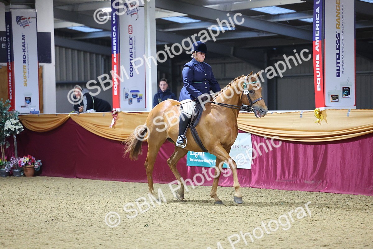 0B8A4279 - Class 108Ridden Retired Racehorse- Final Judging