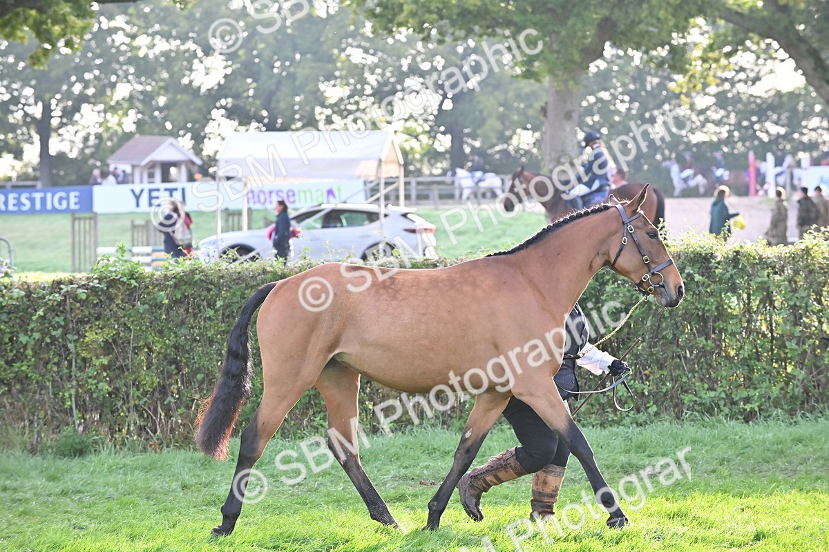 SBM_55300 - S44 - Youngstock In Hand