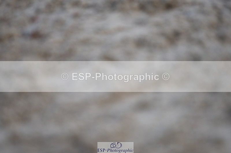 230909-075358-04021 - Cls 15 British Novice & 90cm Open