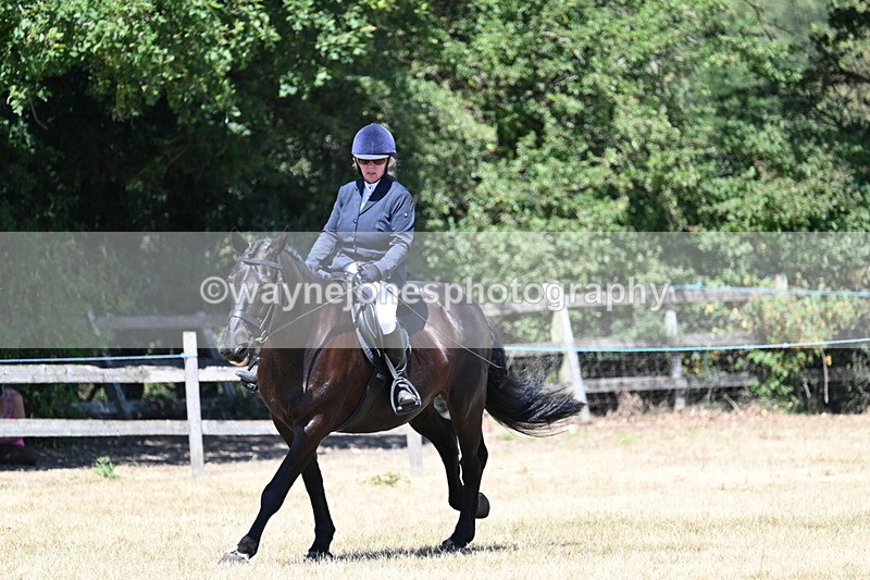 WJ7_2962 - Class 7 Riding Club Show Horse