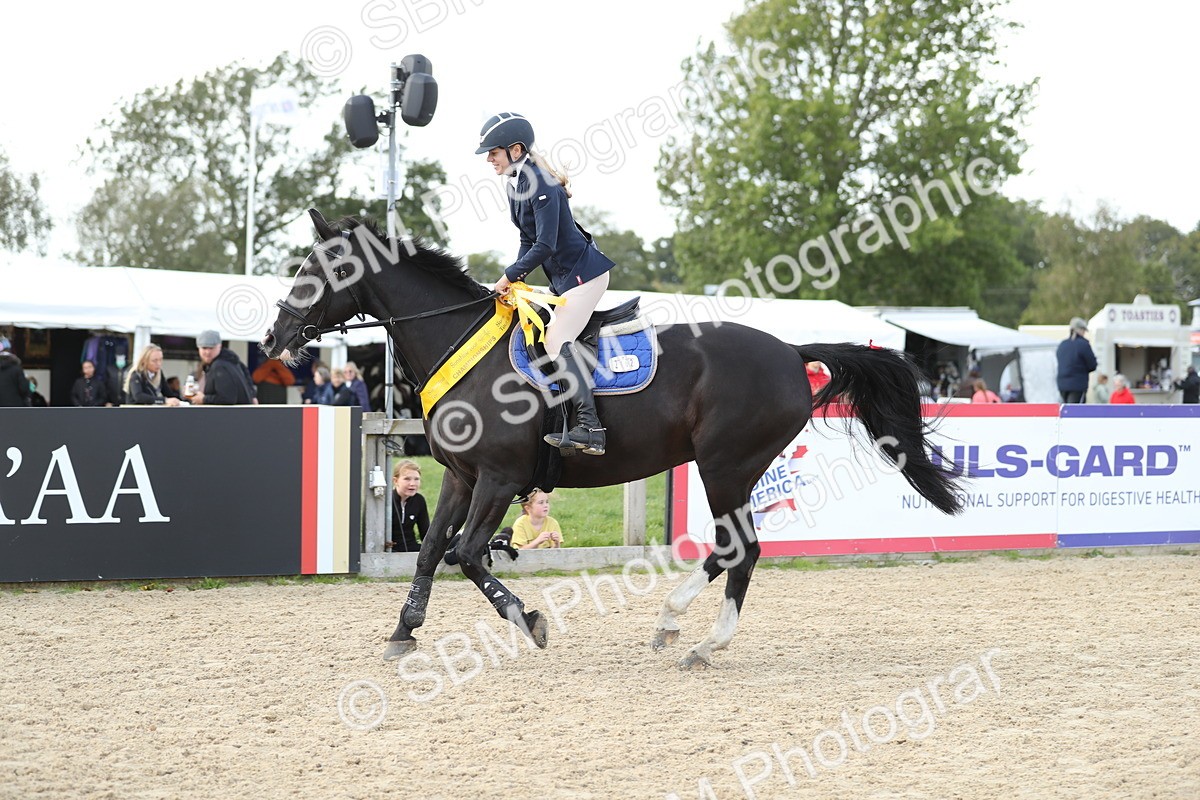 SBM_06588 - J29 - Senior Horse & Pony 65cm Championship