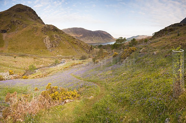 lll0177 - North Lakes