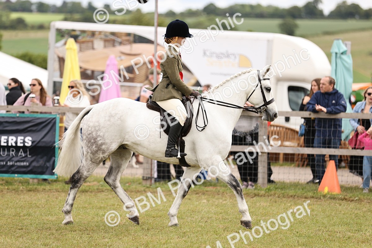 SBM_14632 - Class 88-89 - LIHS BSHA Rising Star of Ridden Hunter Type