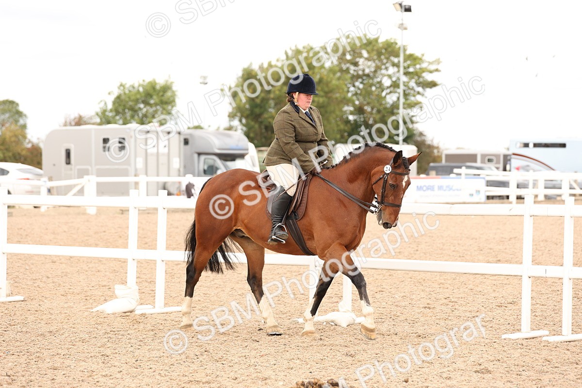 SBM_16476 - Class 212 - Ridden Hunter - Small