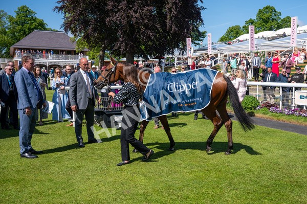 160525-Race 1-Secret Hideaway-6255 - Race 1 2.10pm Clipper EBF Marygate Fillies' Stakes