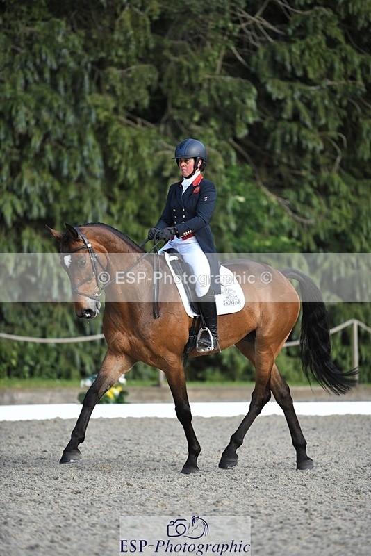 230525-175456-03630 - 132-OGUE_VERDI-Kitty_King-WEDTrotUp+DR