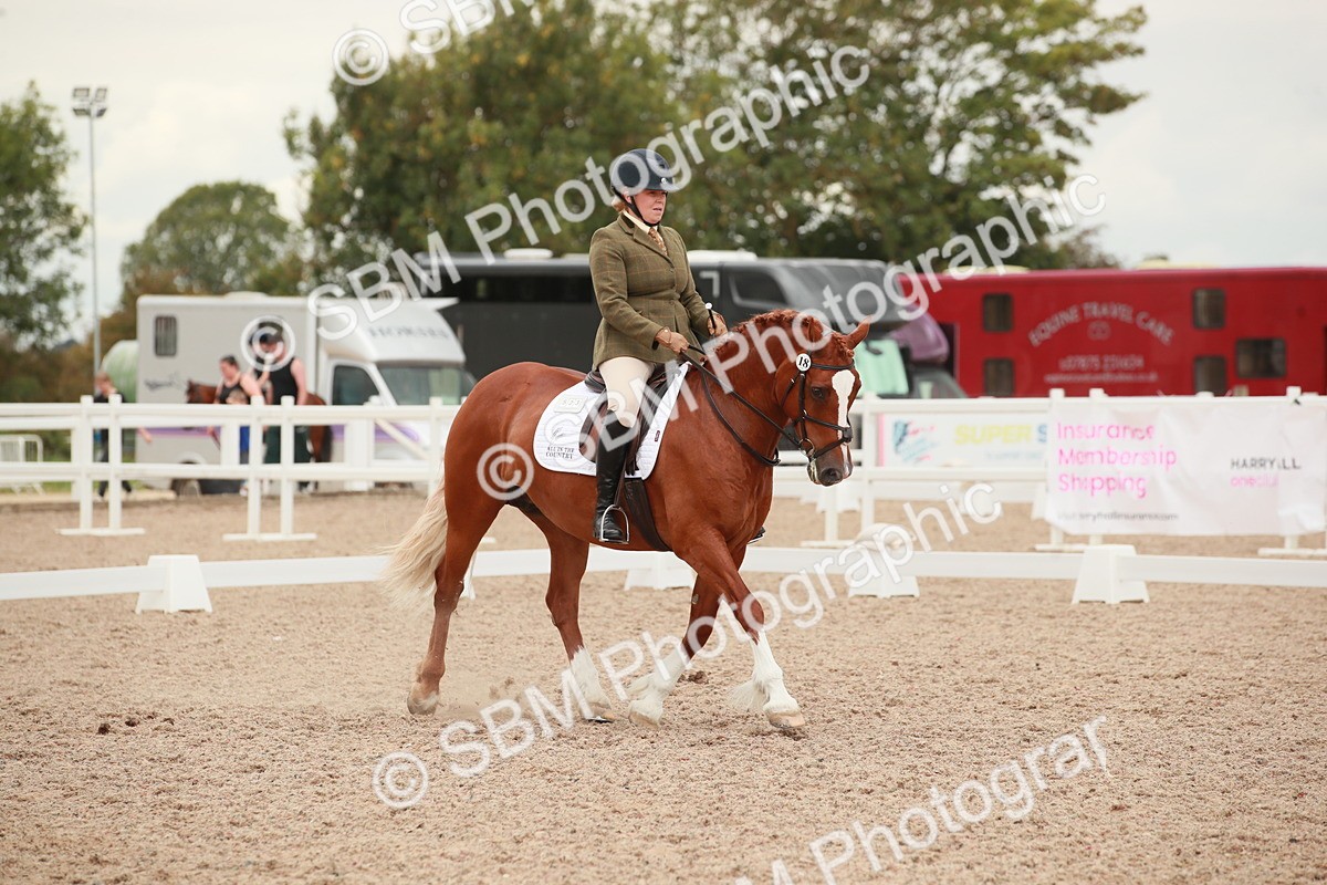 SBM_06084 - Class 33 - Elementary 1