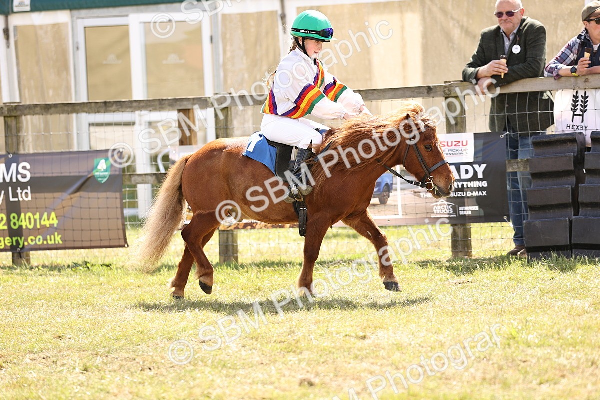 SBM_16803 - Dinky Derby