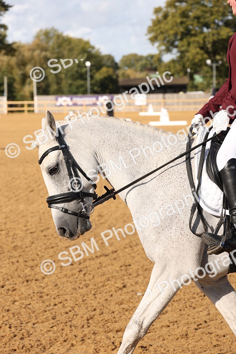 SBM_50465 - D12 - Small Tour Championship prelim 2
