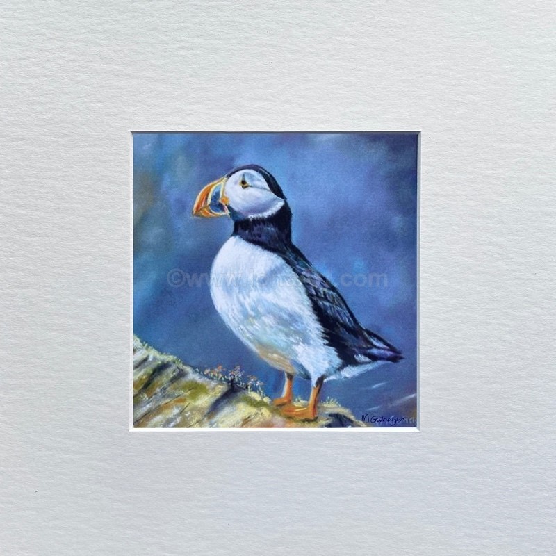 Lone Puffin - Nature