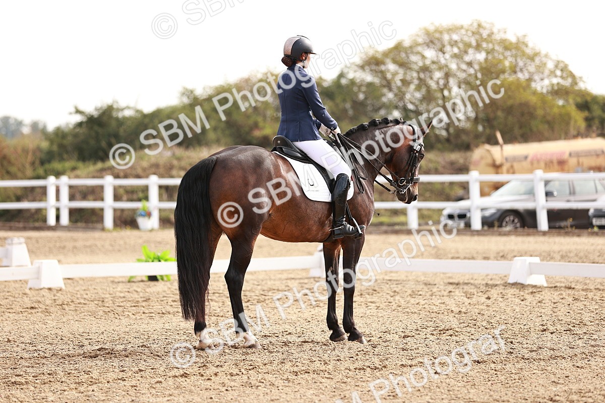 SBM_016950 - Class 10 - Medium 6