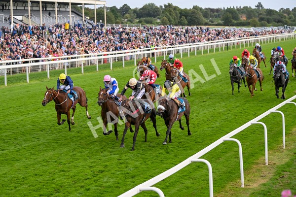 220824-Race 7-Alfa Kellenic-8077 - Race 7 5.20pm British EBF Fillies' Handicap