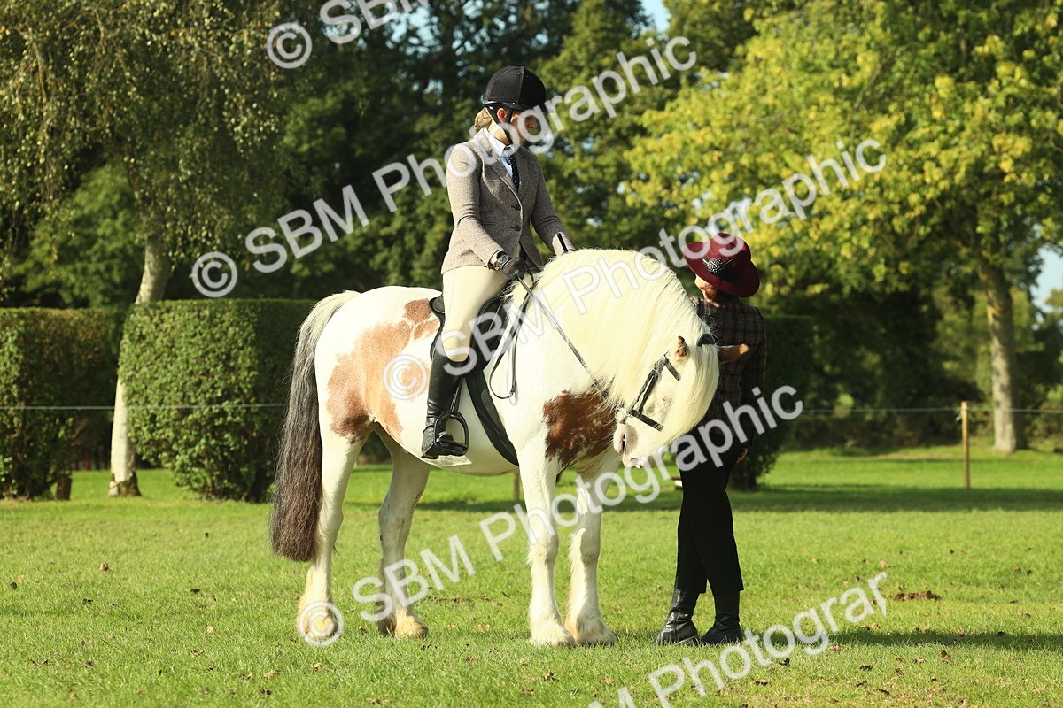 SBM_59900 - S38 - Starters Ridden Showing