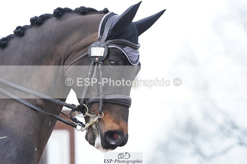 250404-081158-03715 - 018-Louise.Davison-Quamperfect