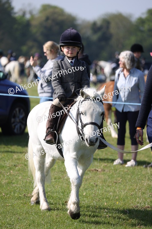20250427-0119 - Class 30 - Tiny Tots Lead Rein