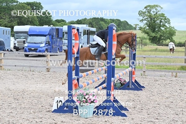 BPP_2878 - CLASS 6 Stepping Stones 128/ 138cms Handicap