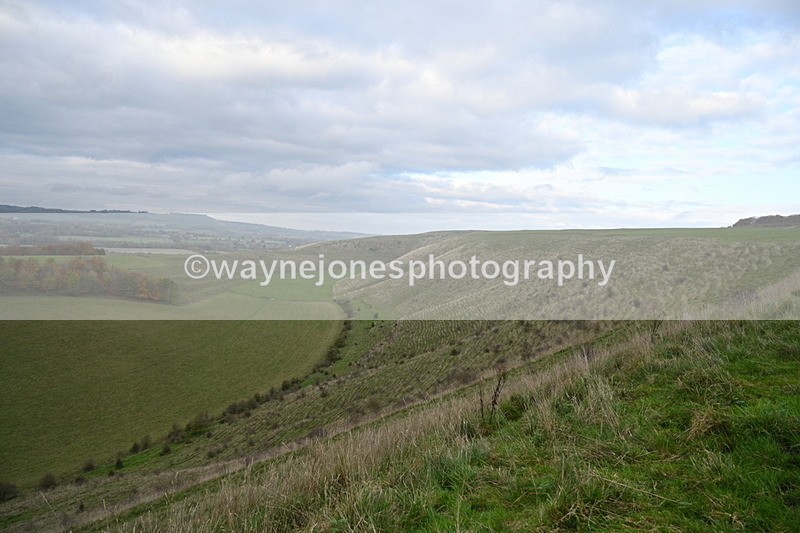 WJ7_9700 - Camera 1 & Last fence