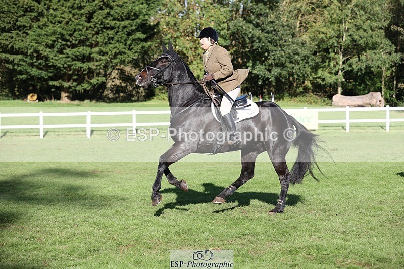 231022-150811-29640 - 448-BARATHEON-Georgina.Owen-TrotUp+SJ