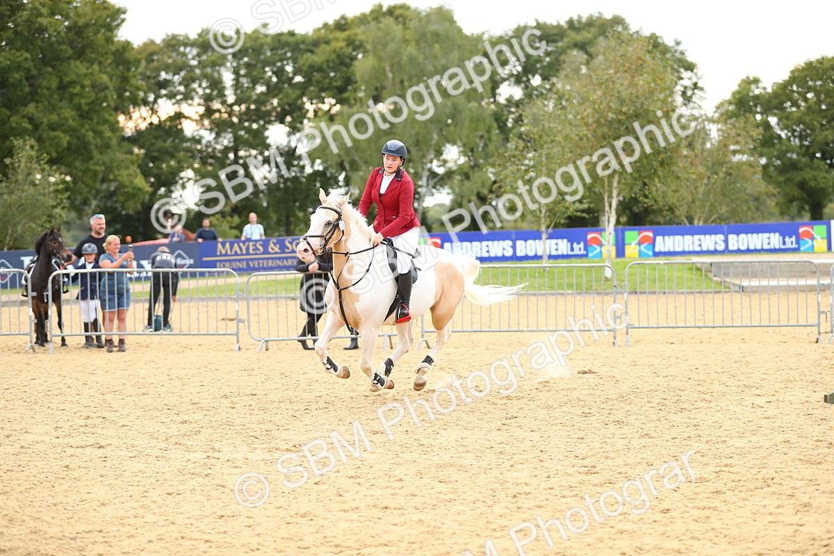 SBM_76197 - J19 - Junior 90cm Supreme Championship
