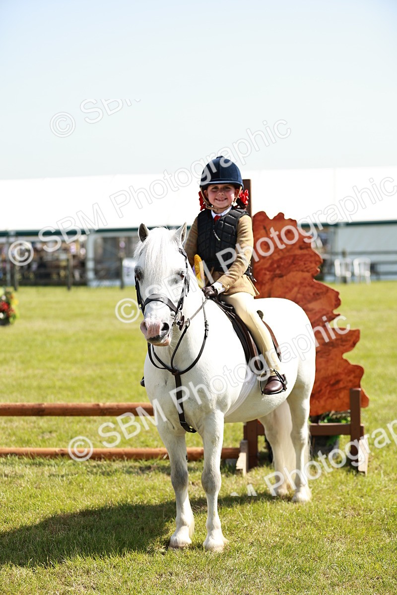 SBM_12798 - Class 106-107 - BSPS LIHS Working Sports Pony