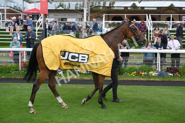 yr11062022r3-46 - Race 3 2.35pm The JCB Stakes